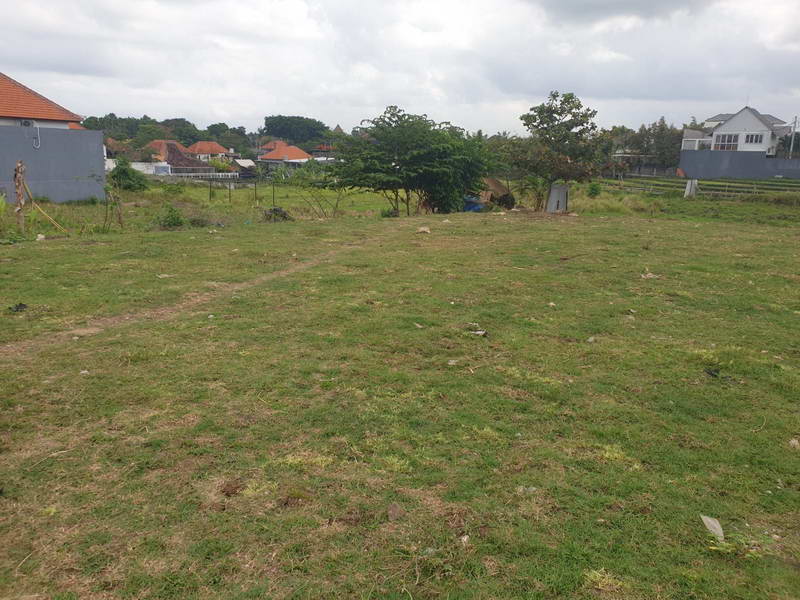llcanggu30
